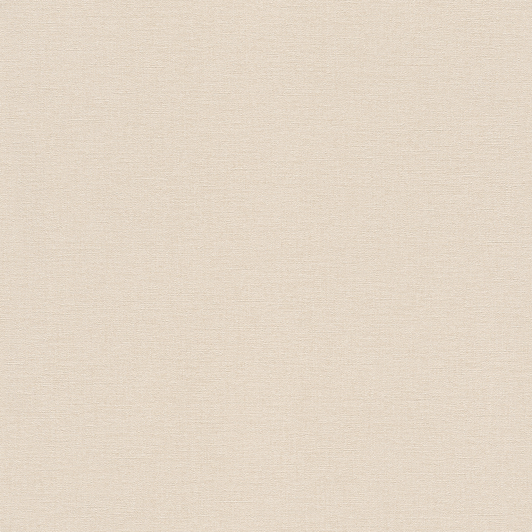 81493 - Linare - camel