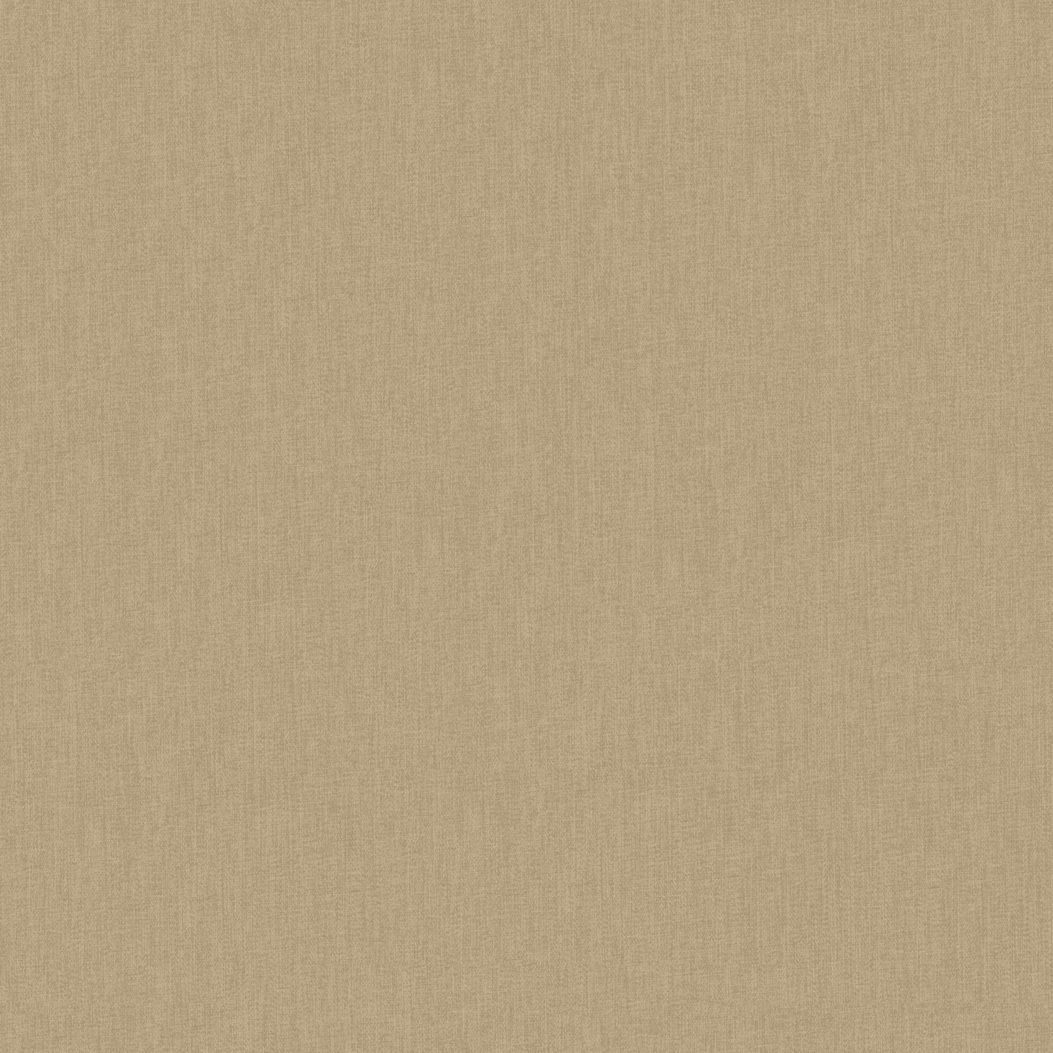 17263 - All night long - Cinamon