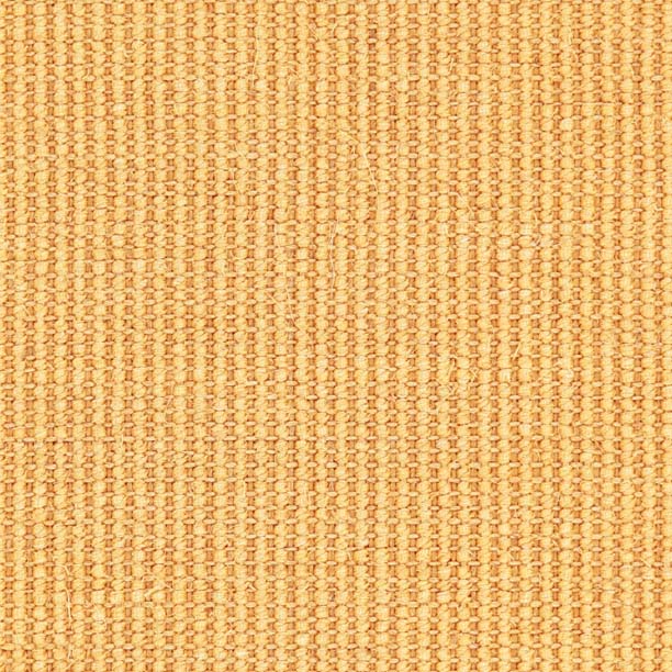 52038 - Paardenbloem - Maisgeel