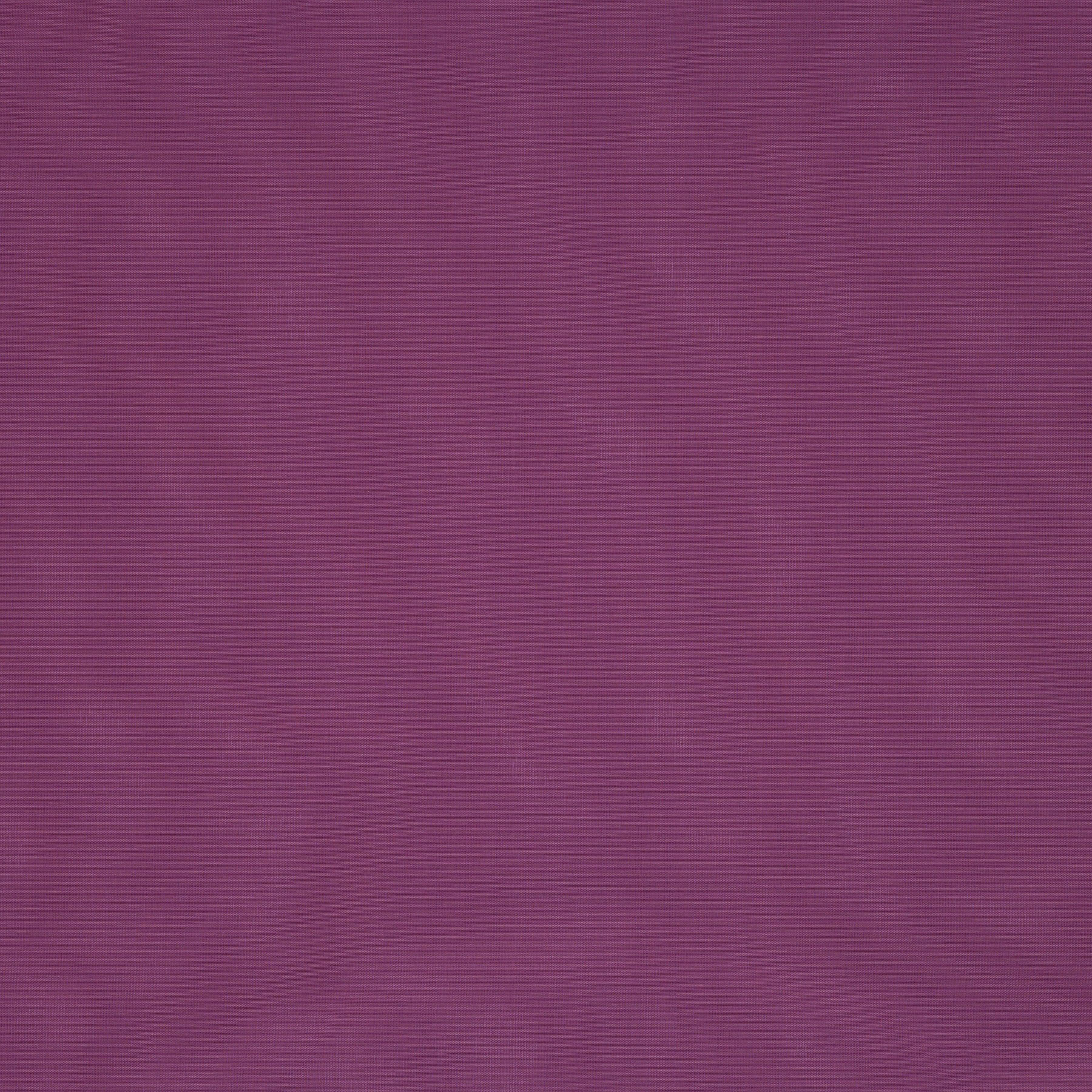 18320 - Turn around - 623 violet