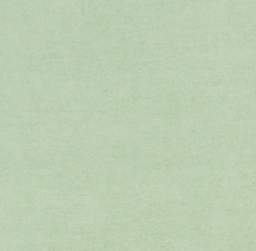 310906 - Soft Powder - Salie