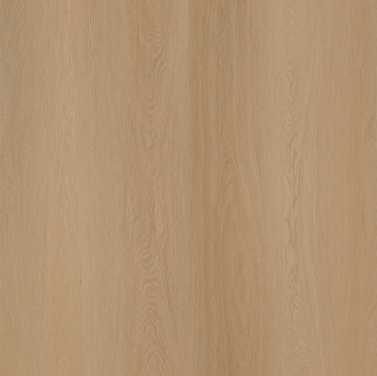 101932 - 1019 r - Biscuit