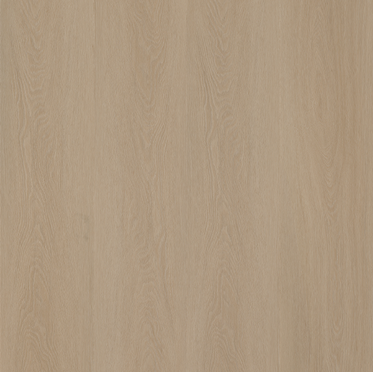 101933 - 1019 r - Cappuccino