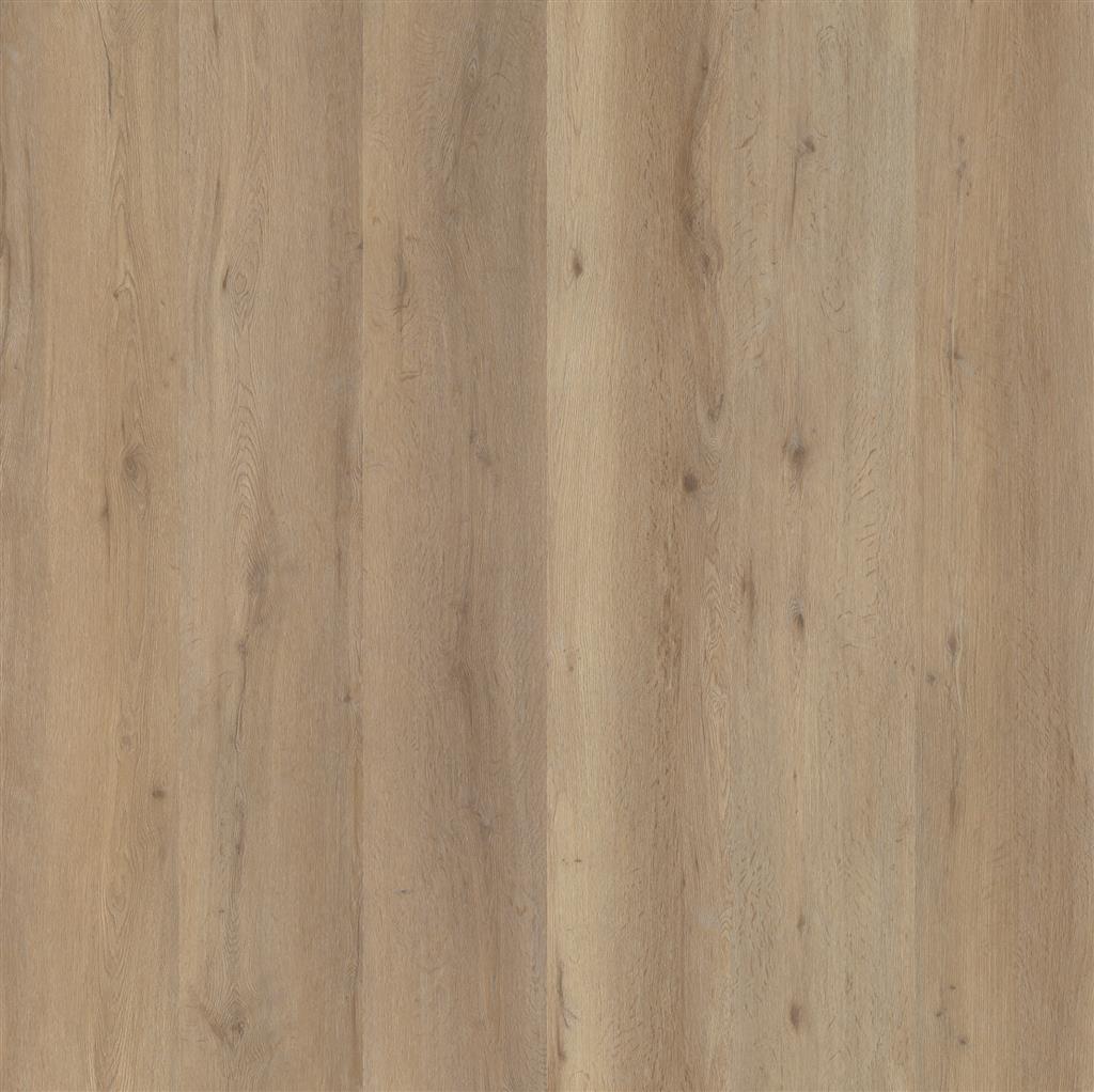 101152 - 1011 r - Nougat