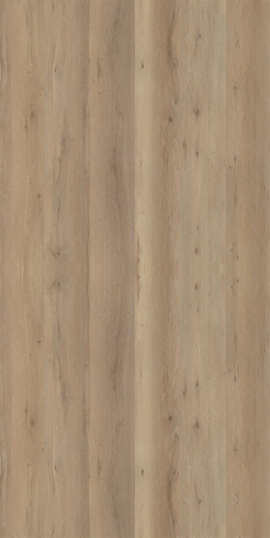 101152 - 1011 r - Nougat