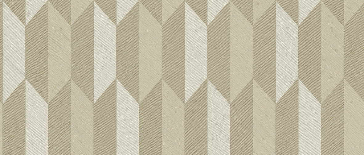 512102 - 5121 - Safari