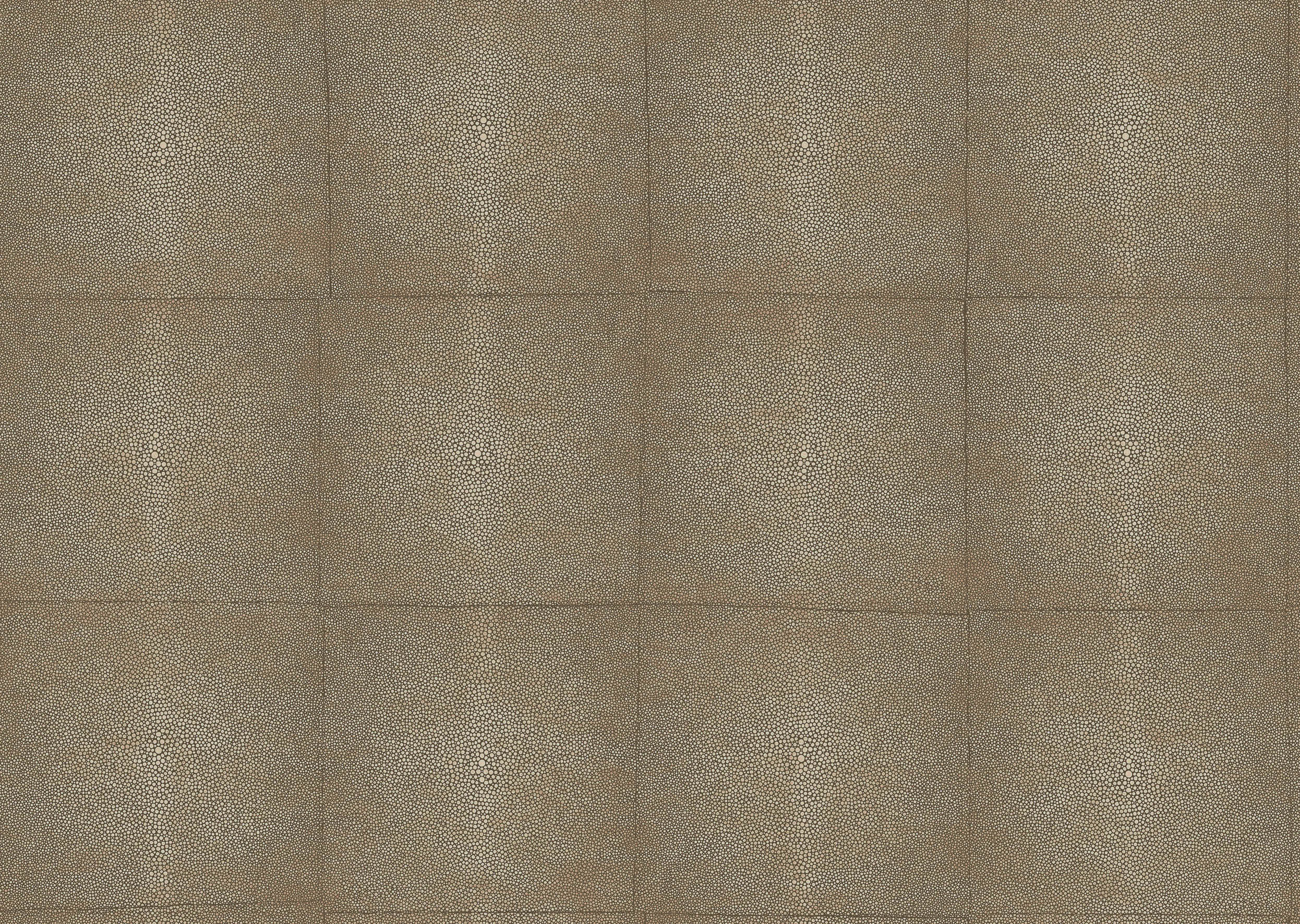 508201 - 5082 - Antiloop