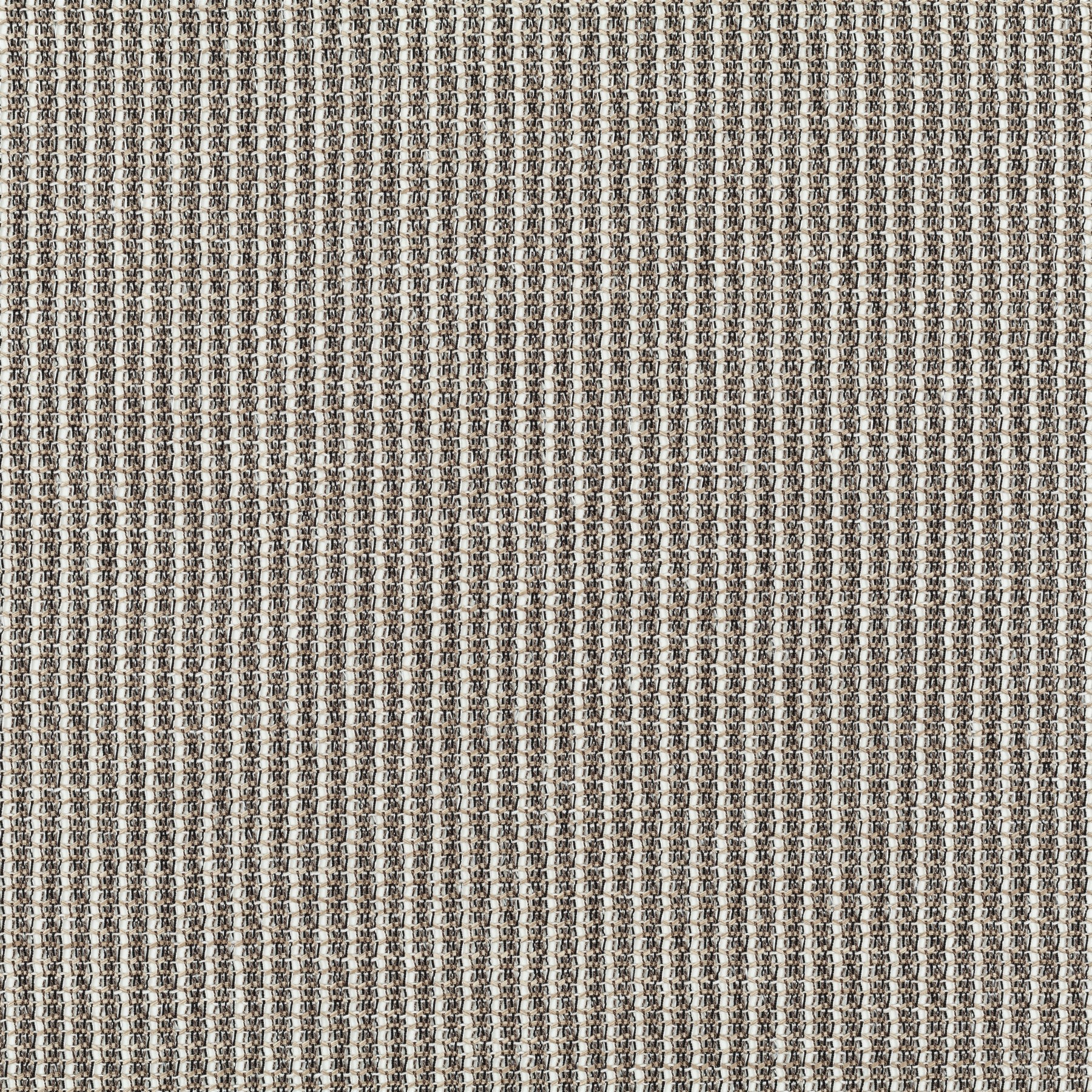 330902 - Splendour - chocolade
