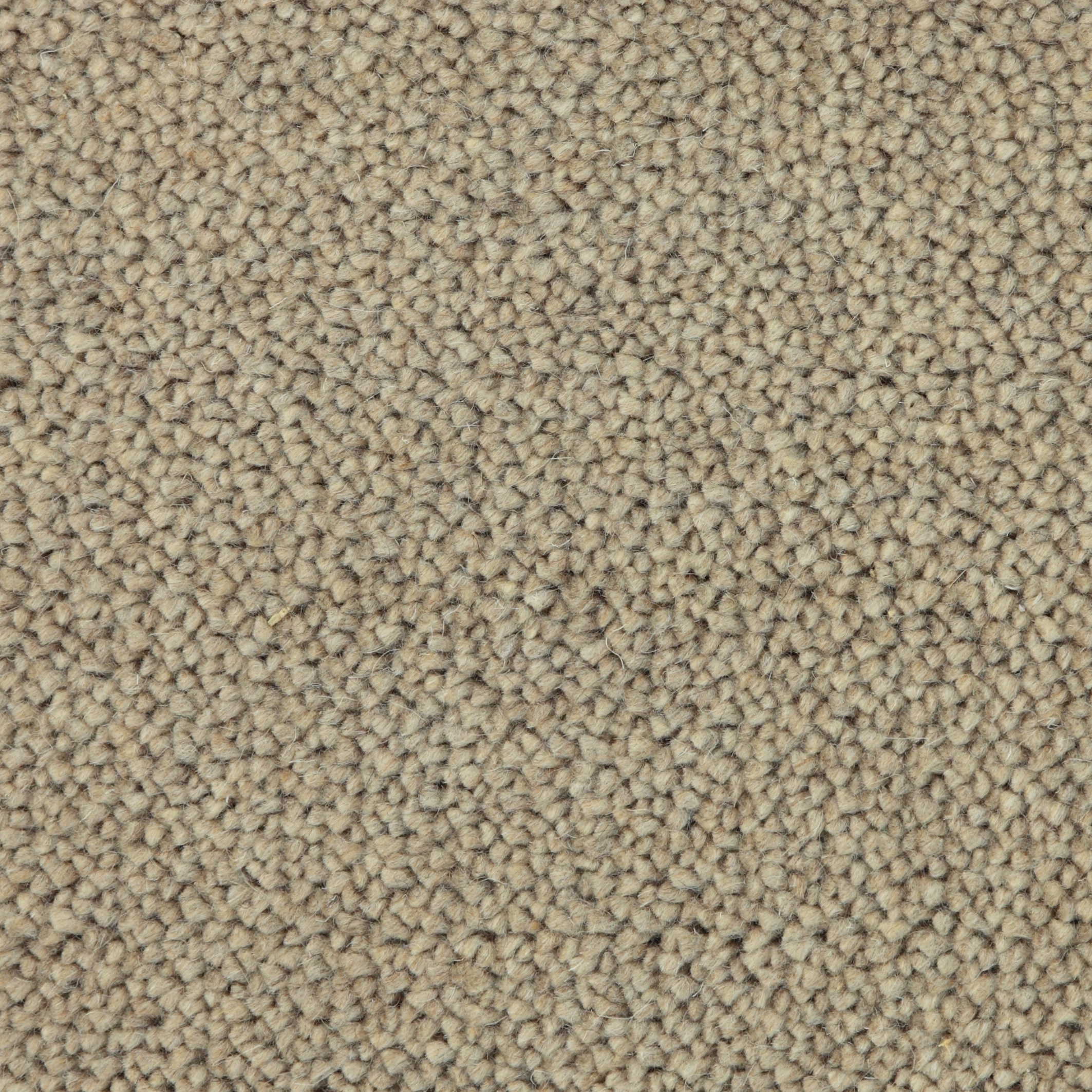 112502 - 1125 - nougat