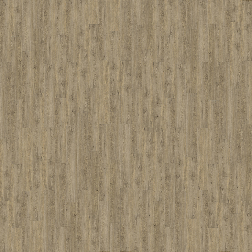 103203 - 1032 - antiloop