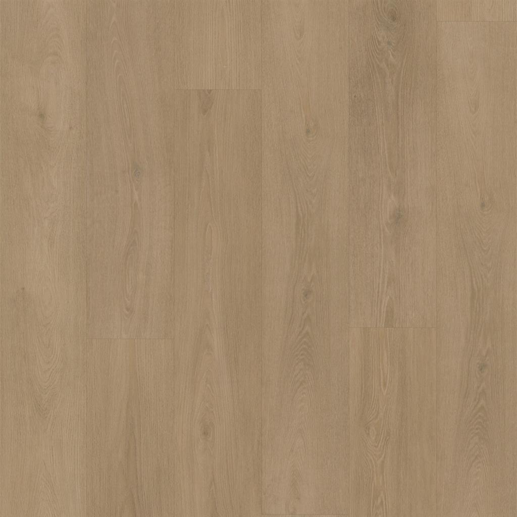 104917 - Craft - Canvas
