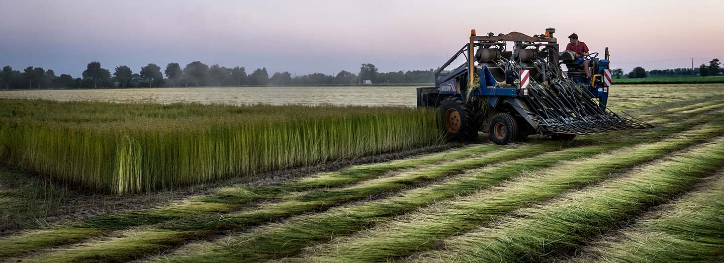 Productieproces linnen