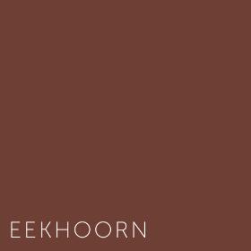 Kleuren Eekhoorn
