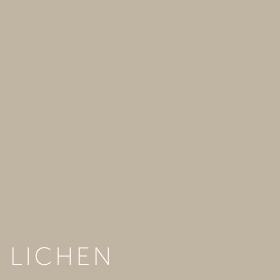 Kleuren Lichen
