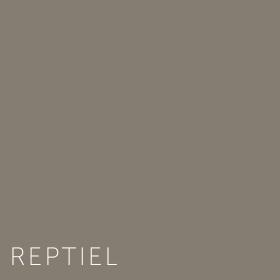 Kleuren Reptiel
