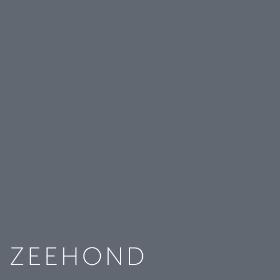 Kleuren Zeehond
